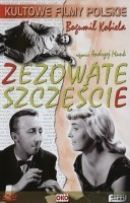 Powiększ