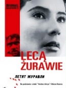 Powiększ
