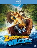 Powiększ