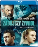 Powiększ